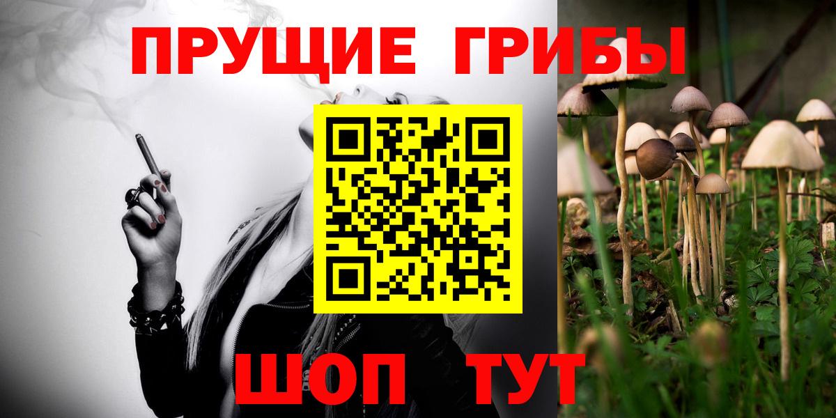 Галлюциногенные грибы MAGIC MUSHROOMS Богородицк